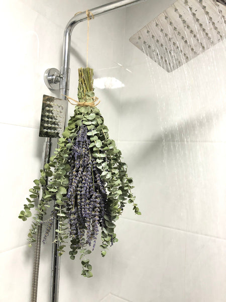 Shower Eucalyptus Bundle with Lavender, Aromatherapy Shower, Eucalyptus Aromatherapy Congestion Restful Sleep Home Spa Shower